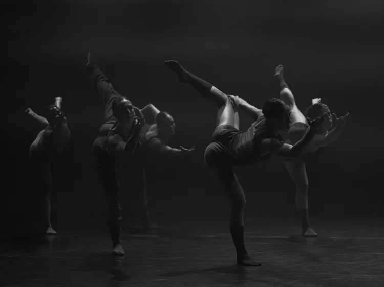 Disciplines