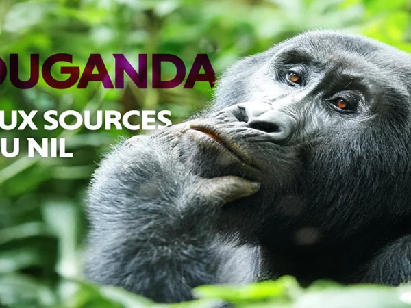 aux-sources-du-nil-horizontal