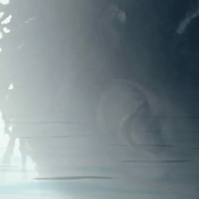 boucar-diouf-vertical