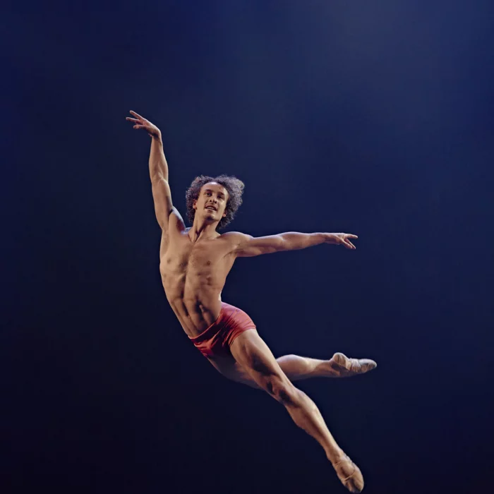 les-grands-ballets-vertical