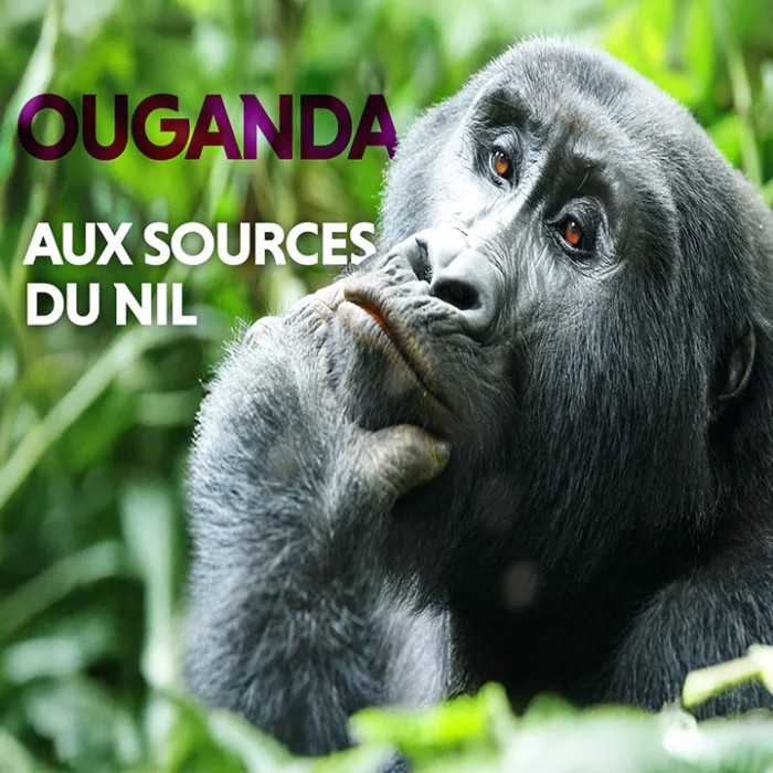 aux-sources-du-nil-vertical