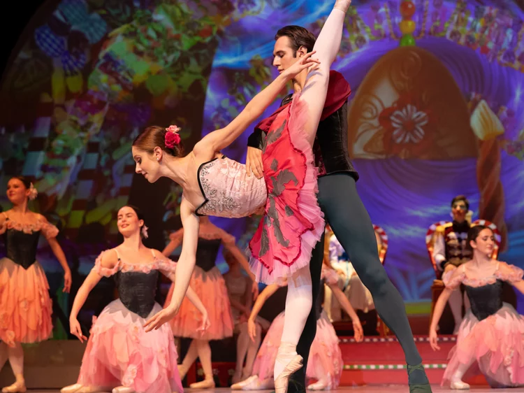 Photo Blogue Casse Noisette